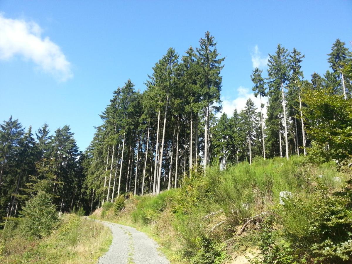 Ferienwohnung Am Eifelsteig Vulkaneifel-Auszeit Udersdorf Ngoại thất bức ảnh
